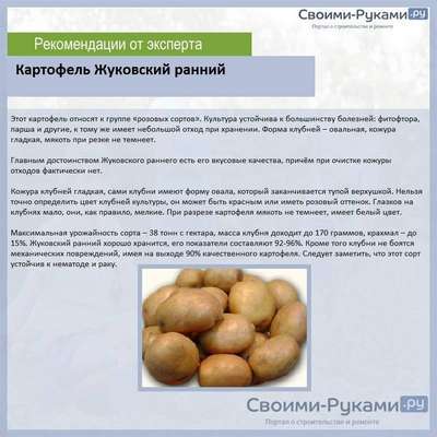 Ранние сорта картофеля (Жуковский): отзывы, выращивание 
