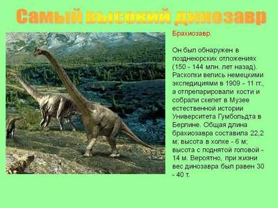 Самые первые динозавры на планете – названия, краткое описание и фото