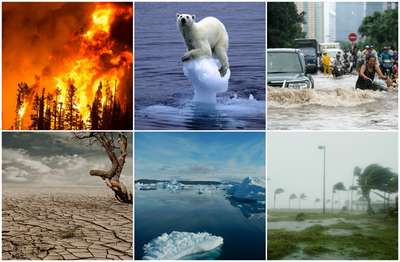 Влияние изменения климата на дикую природу планеты