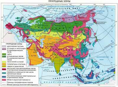 Какие природные зоны есть в Евразии? арта, названия, географическая хаpaктеристика и таблица