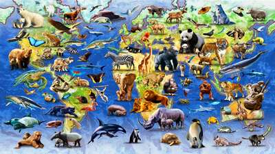 Сколько видов животных населяют нашу планету?
