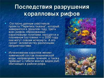 Коралловые рифы: виды, роль, экологические проблемы и защита