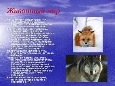 Животный мир Свердловской области – список, хаpaктеристика и фото