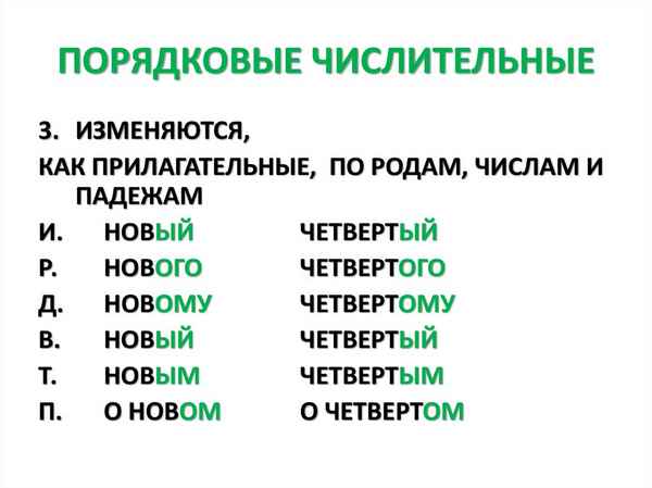 Порядковые числительные – как склоняются в русском языке, таблица примеров