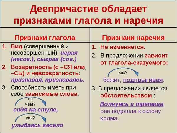 Деепричастие – что такое в русском языке, примеры и определение части речи