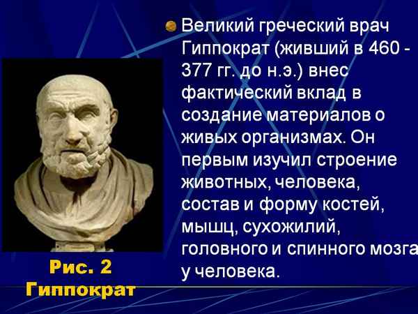 Самая краткая биография Гиппократа