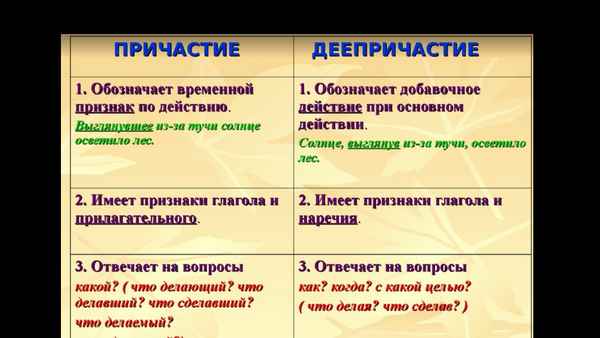 Причастие и деепричастие – правила с примерами в русском языке