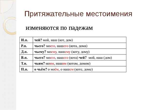 Притяжательные местоимения в русском языке с примерами (2 класс)