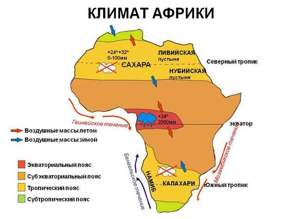 Климат Африки – типы и карта, кратко для урока географии в 7 классе