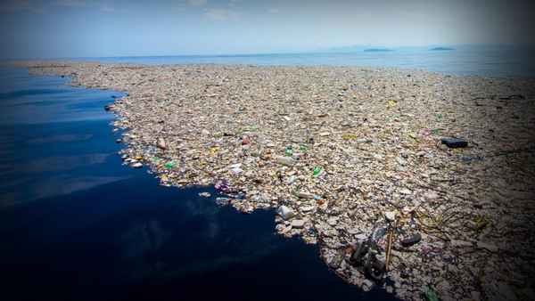 Загрязнение мирового океана как глобальная экологическая проблема, защита вод от мусорных островов