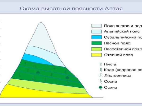 Природные зоны горных областей (4 класс), таблица и условные обозначения на карте