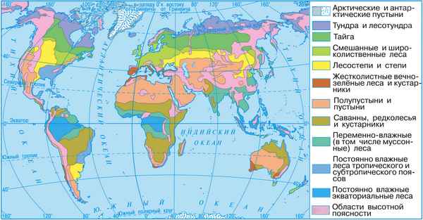 Природные зоны мира (Земли), соответствие и названия, типичное размещение крупных зон