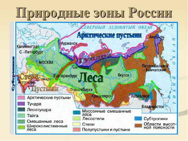 Самая маленькая природная зона России – расположение и особенности