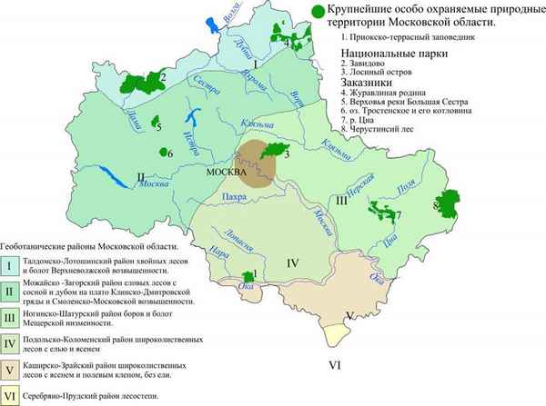 Природная зона Москвы, в какой зоне находится Москва и Московская область