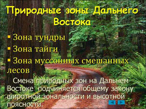 Природные зоны Дальнего Востока России кратко