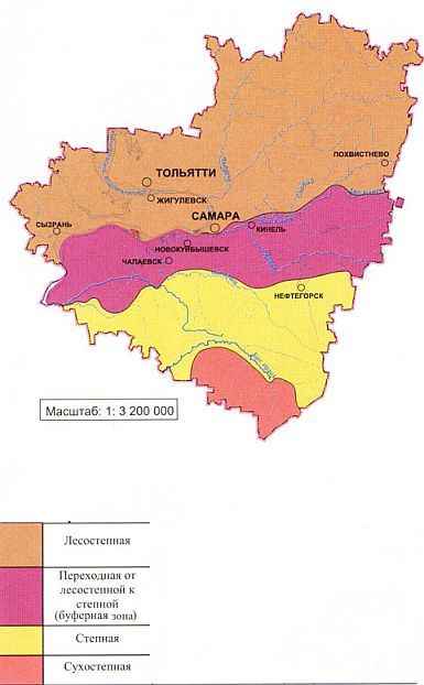 Природная зона Самарской области, в какой зоне находится Самара
