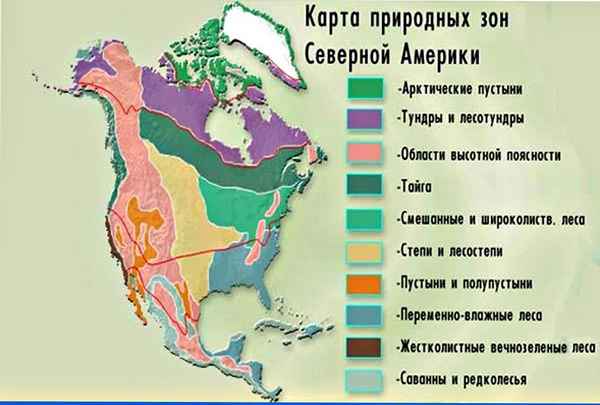 Природные зоны Северной Америки – таблица и хаpaктеристика, карта