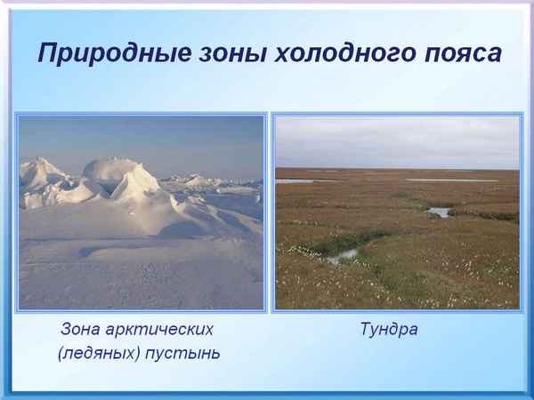 Природные зоны полярного пояса – основные особенности арктического пояса