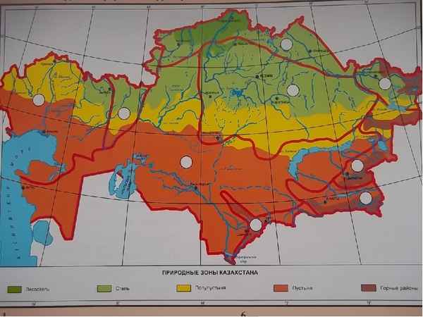 Природные зоны Сарыарки – основные особенности