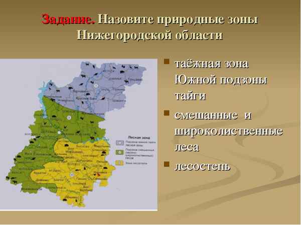 Природная зона Нижегородской области и Нижнего Новгорода