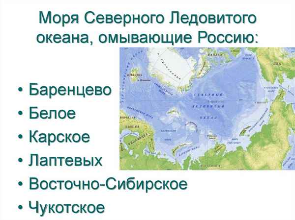 Моря Северного Ледовитого океана, омывающие Россию