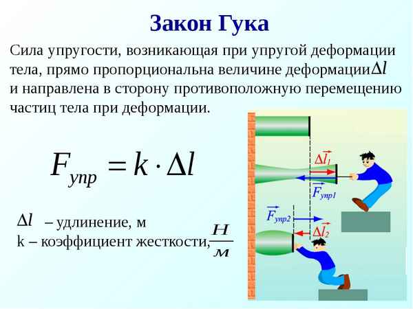 Закон Гука – формула и определение силы упругости, как формулируется
