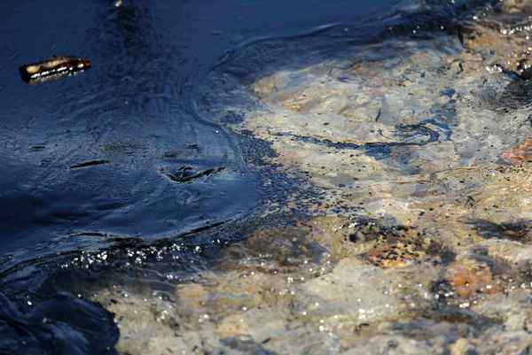 Загрязнение гидросферы – источники и последствия, основные причины кратко