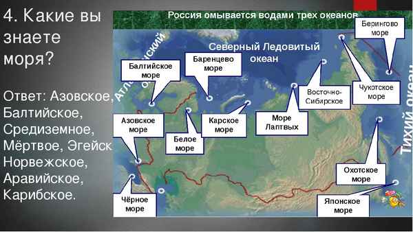 Моря России в таблице омывающие страну (8 класс, география)