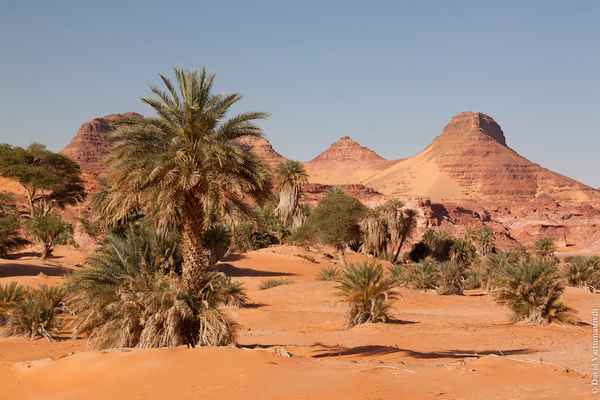 Северная Африка – страны, население, ЭГП и состав