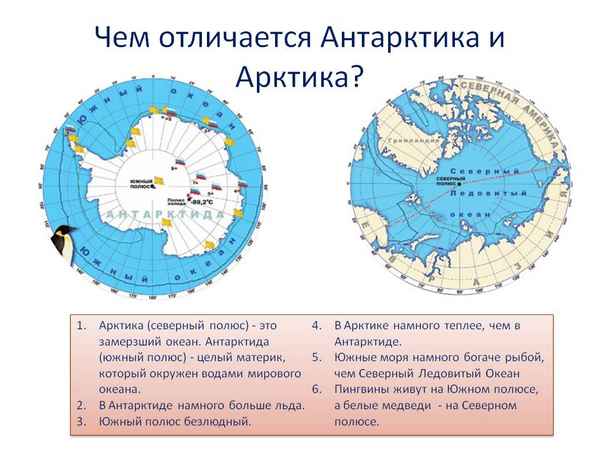 Антарктика и Антарктида – отличия на глобусе, в чем разница