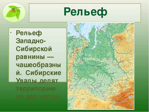 Рельеф Западно-Сибирской равнины – тектоническое строение, особенности и формы