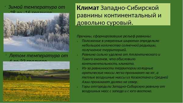 Климат Западно-Сибирской равнины, его тип и температура
