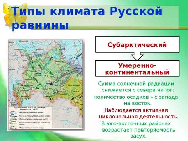 Климат Русской равнины (Восточно-Европейской) – тип климатических поясов