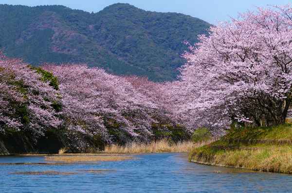 Природа Японии, природные условия