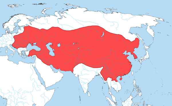 Монгольская империя – основатель, образование, распад