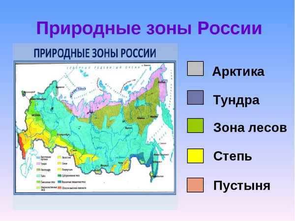 Природные зоны России (4 класс, окружающий мир)