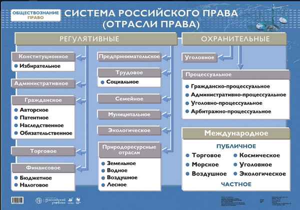 Процессуальные отрасли российского права кратко (обществознание)