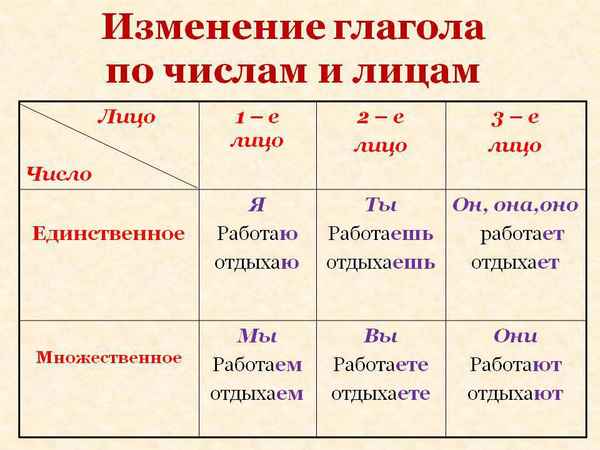 Лица глаголов, как определить – таблица для 1, 2, 3 лица в русском языке