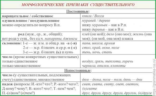 Морфологические признаки существительных в русском языке
